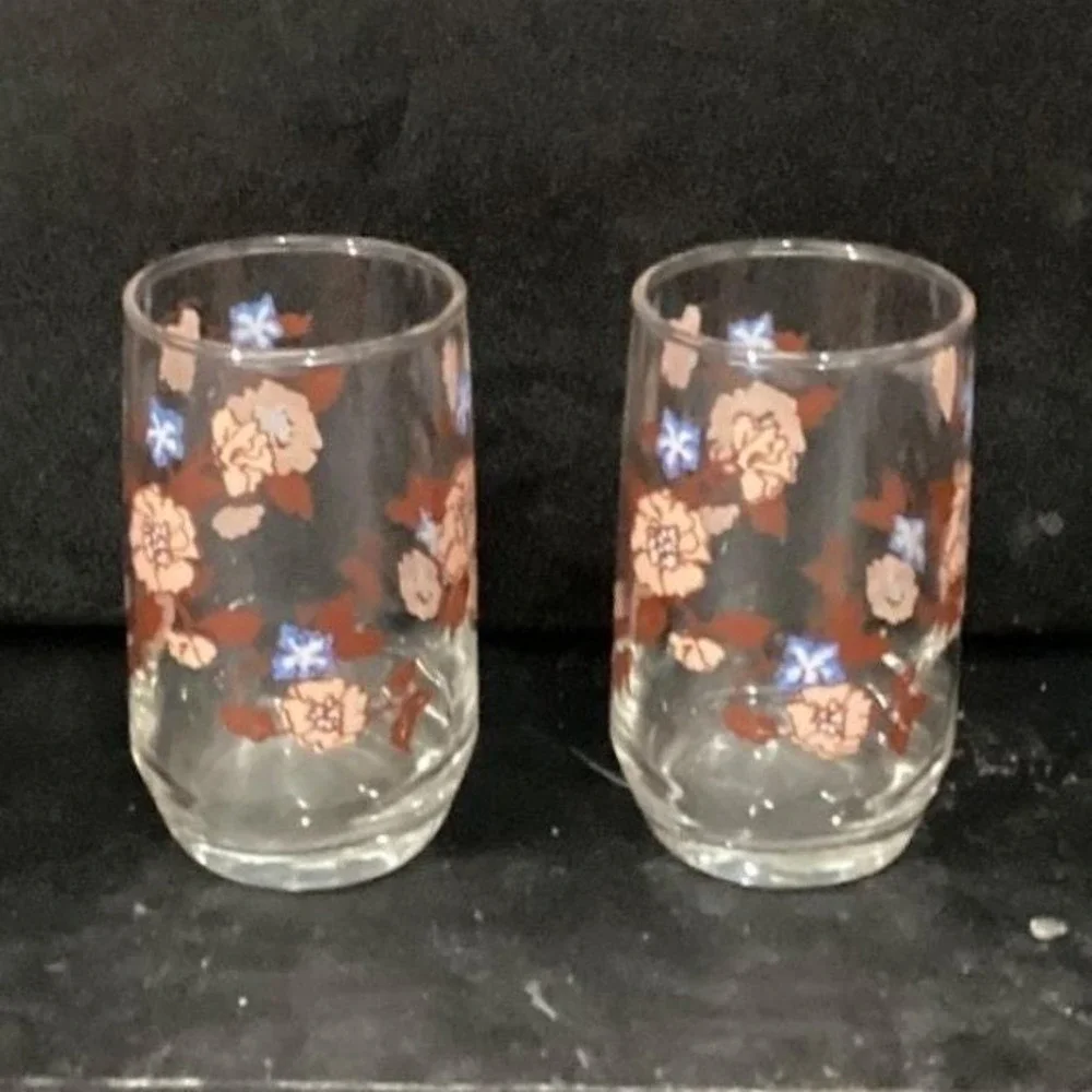 Libbey Floral Juice Glasses, Set of 2,‎ Vintage Orange Flowers Design Drinkware